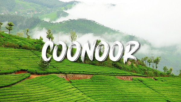 Coornoor Hills | Tourist location Near Service Apartment